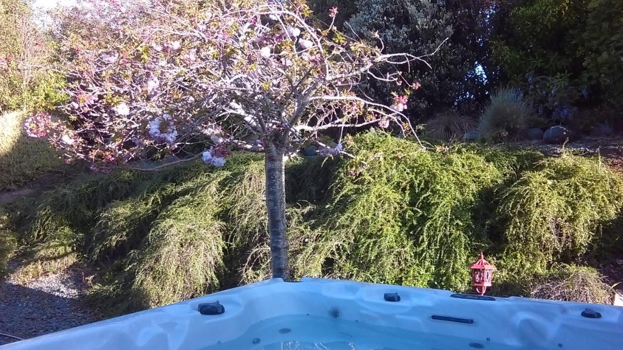 וונגאנואי Shurinji מראה חיצוני תמונה